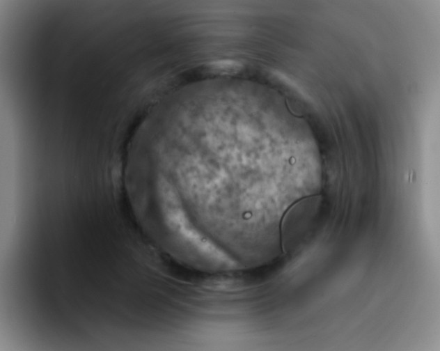 X0000092040745200709261950