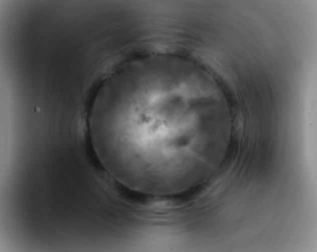 X0000092040746200709261950