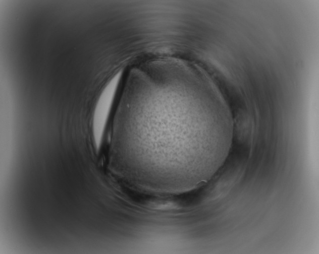 X0000092040747200709261950