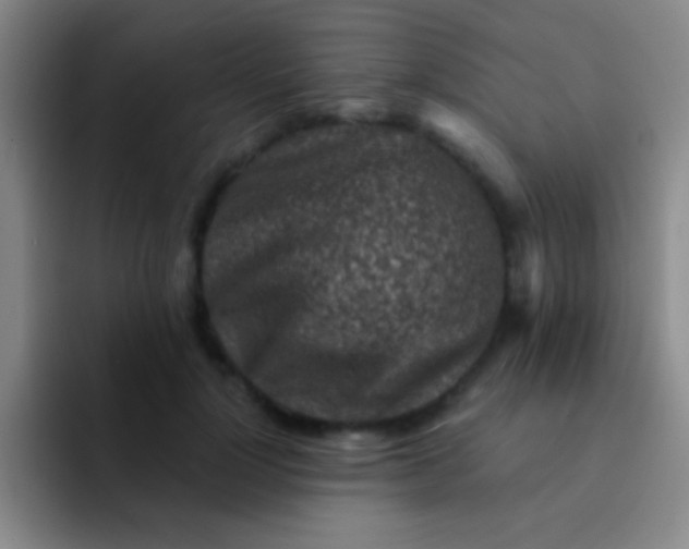 X0000092040748200709261950