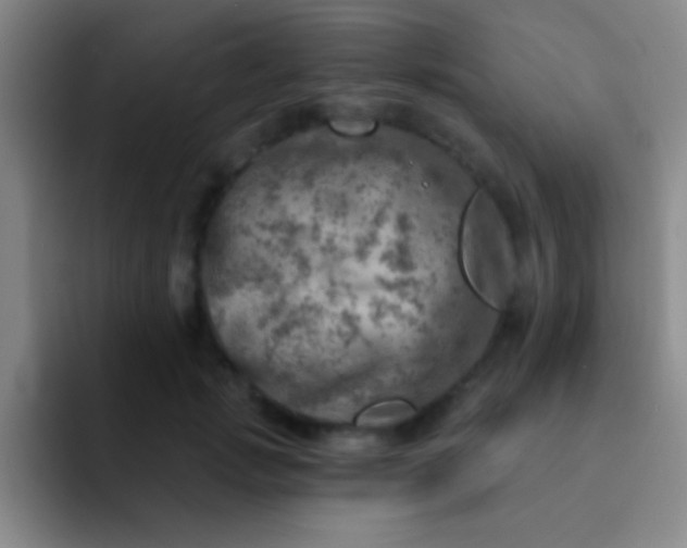 X0000092040749200709261950