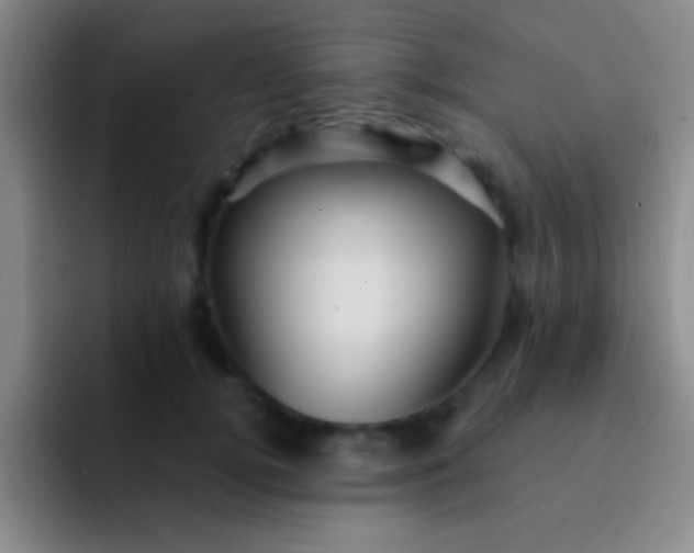 X0000092040752200709261950