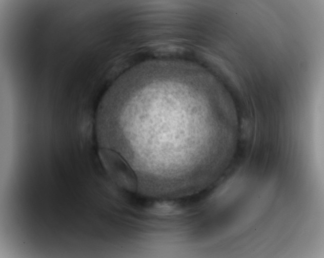 X0000092040753200709261950