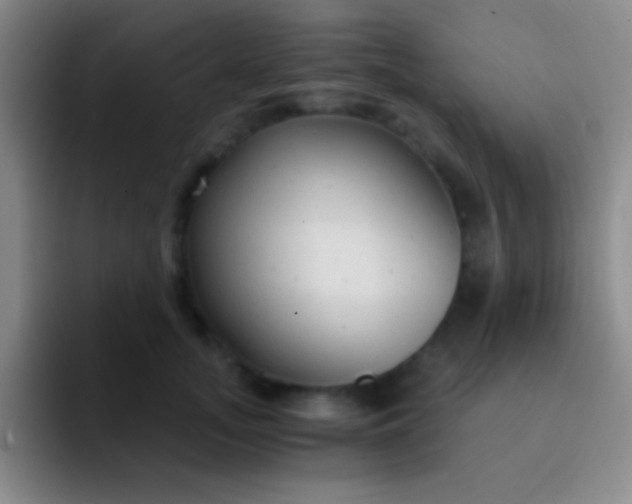 X0000092040755200709261950