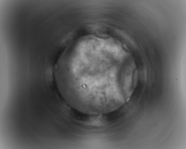 X0000092040757200709261950