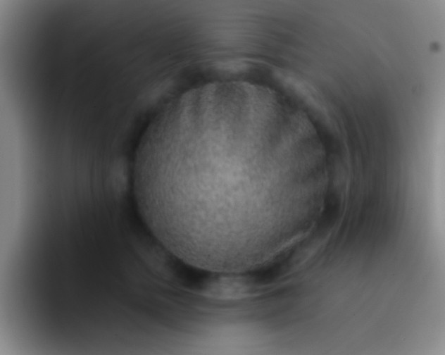 X0000092040758200709261950