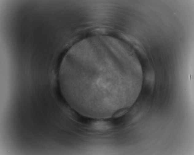 X0000092040759200709261950