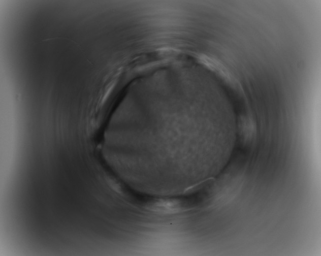 X0000092040760200709261950