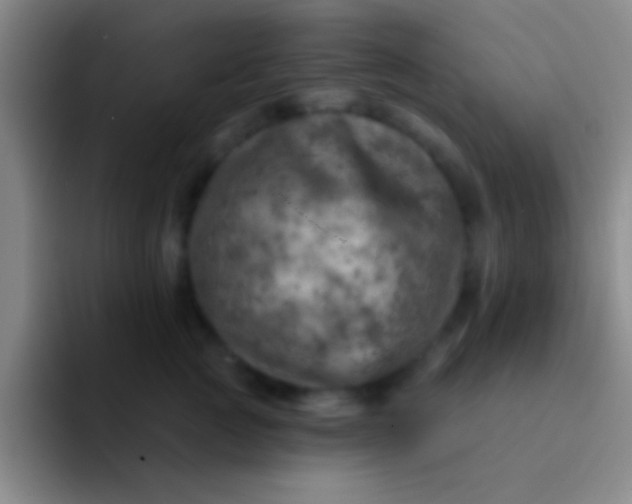 X0000092040761200709261950