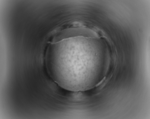 X0000092040762200709261950