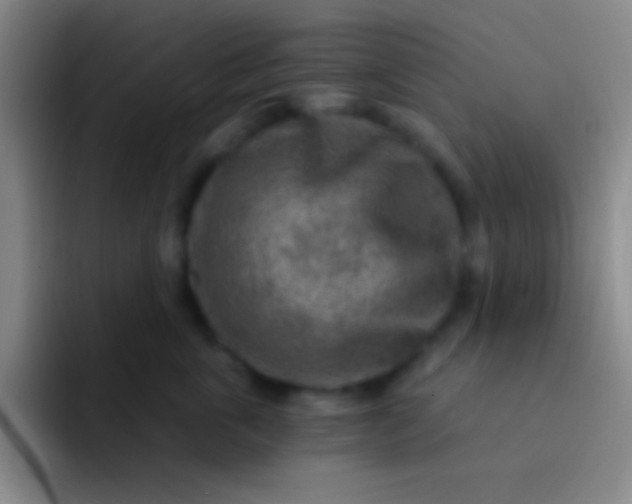 X0000092040763200709261950