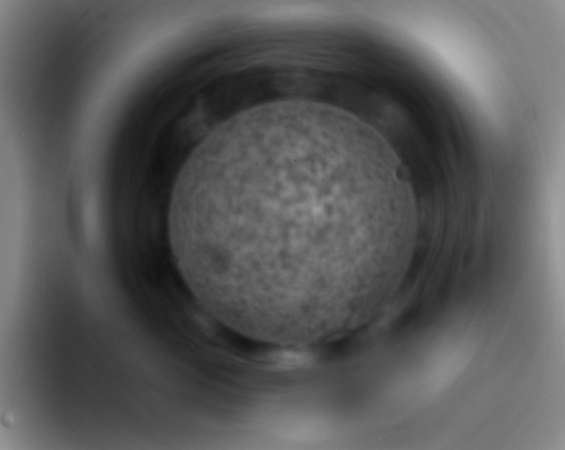 X0000092040765200709261950