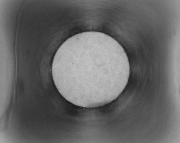 X0000092040769200709261950