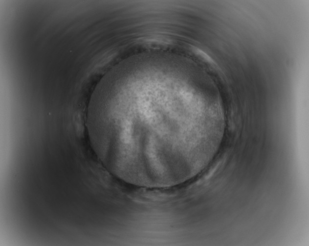 X0000092040774200709261950