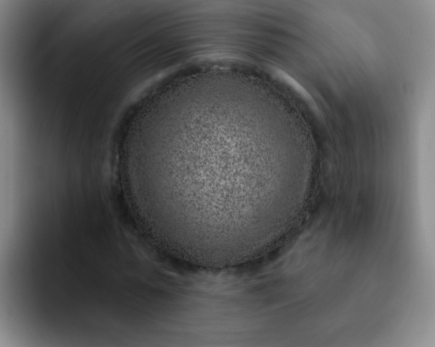 X0000092040775200709261950