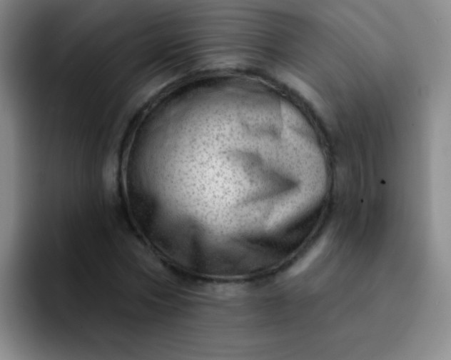 X0000092040778200709261950