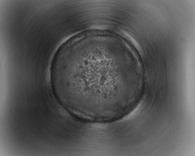 X0000092040779200709261949