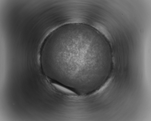 X0000092040781200709261949