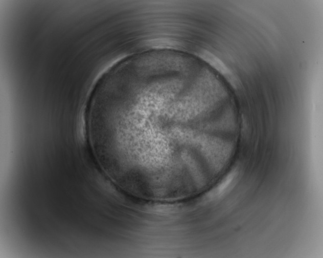 X0000092040782200709261949