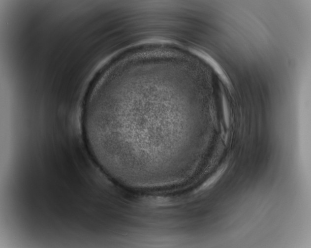 X0000092040783200709261949