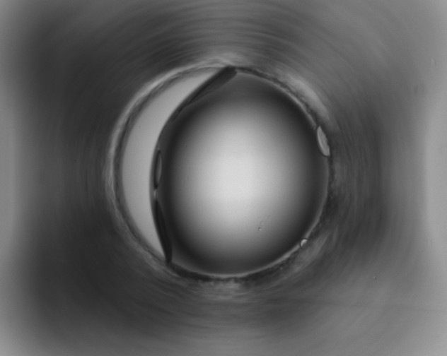 X0000092040784200709261949