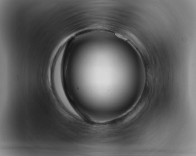 X0000092040788200709261949