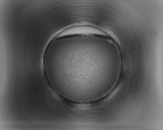 X0000092040789200709261949