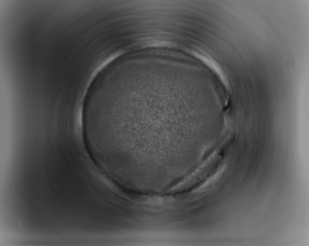 X0000092040790200709261949