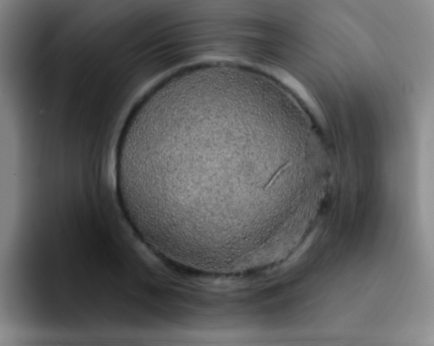 X0000092040791200709261949