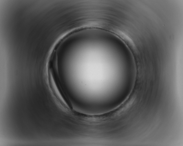 X0000092040792200709261949