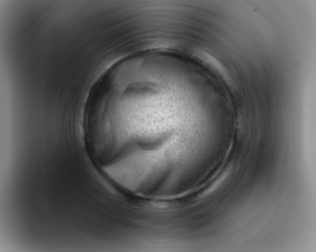 X0000092040794200709261949