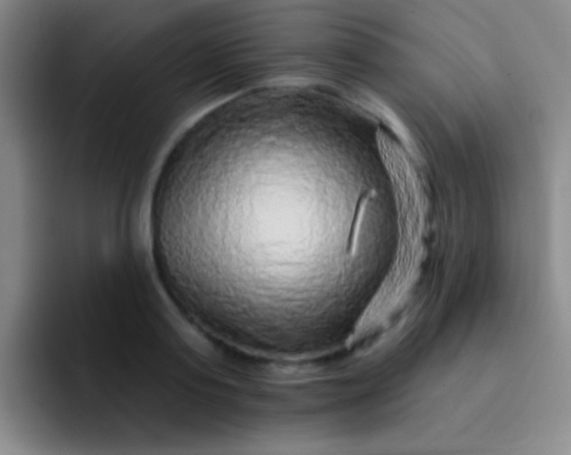 X0000092040795200709261949