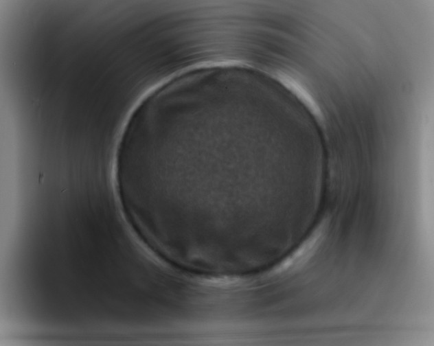 X0000092040797200709261949