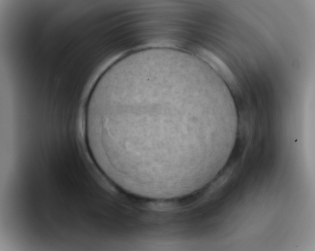 X0000092040804200709261949