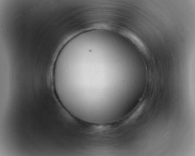 X0000092040808200709261949