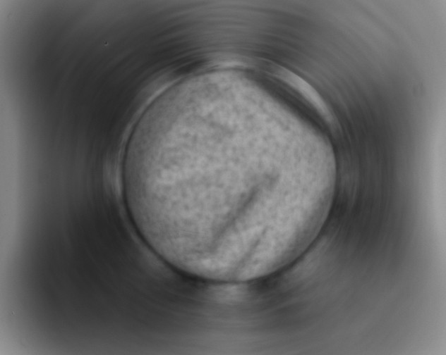 X0000092040810200709261949