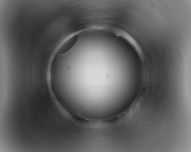 X0000092040811200709261949