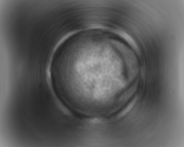 X0000092040814200709261949