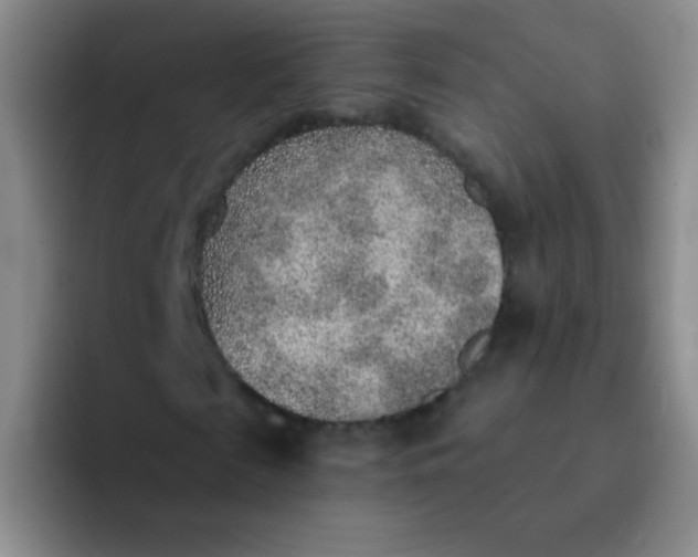 X0000092040817200709261949