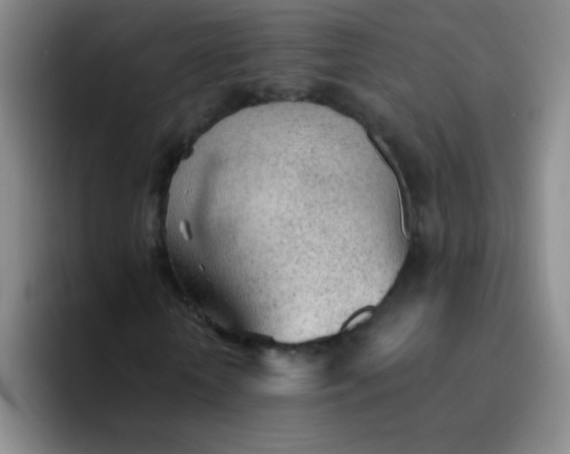 X0000092040818200709261949