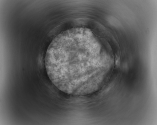 X0000092040819200709261949