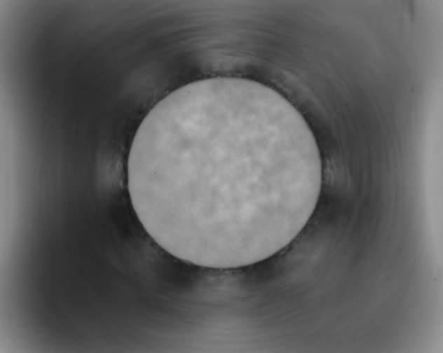 X0000092040820200709261949