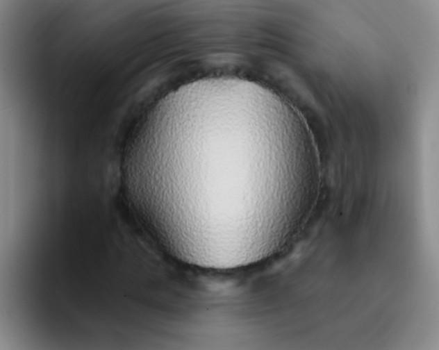 X0000092040821200709261949