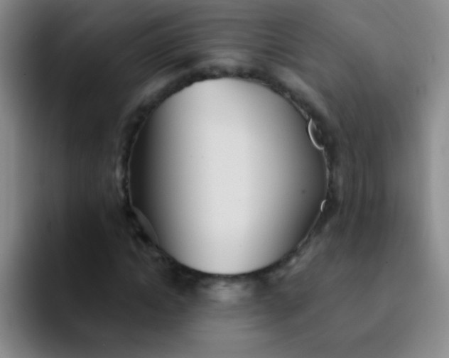 X0000092040822200709261949