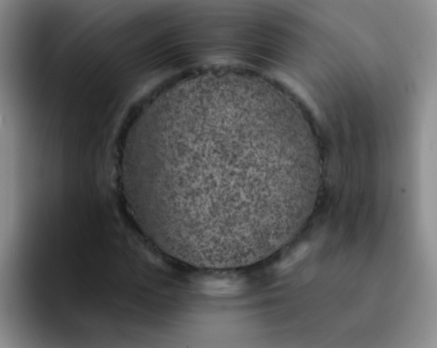 X0000092040823200709261949