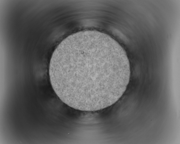 X0000092040824200709261949