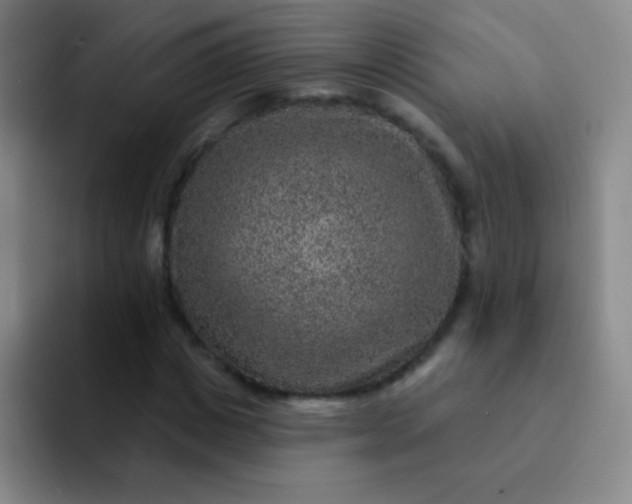 X0000092040825200709261949