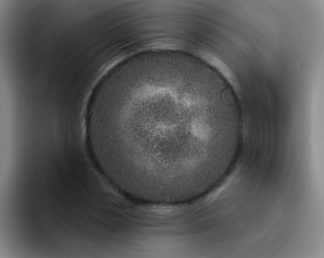 X0000092040829200709261949