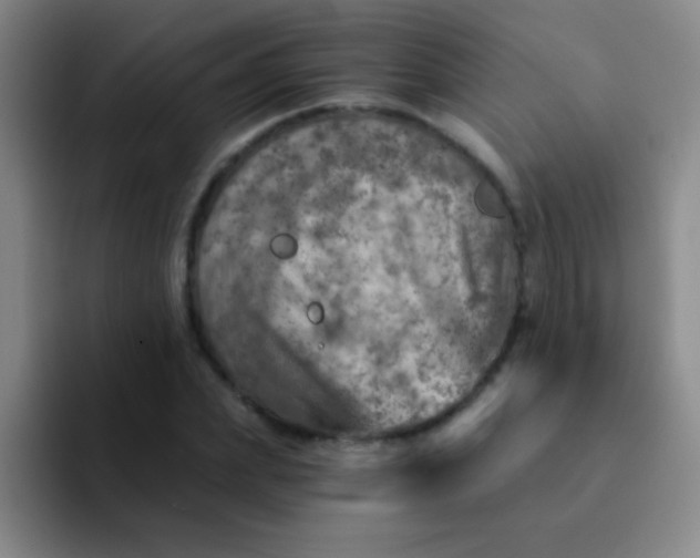 X0000092040831200709261949