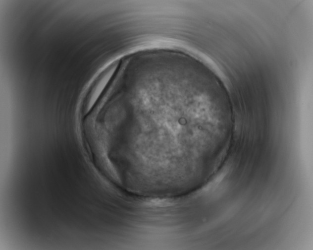 X0000092040835200709261949